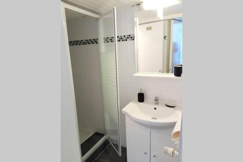 Appartement Cosy Rue Sainte Madeleine Страсбург Екстер'єр фото
